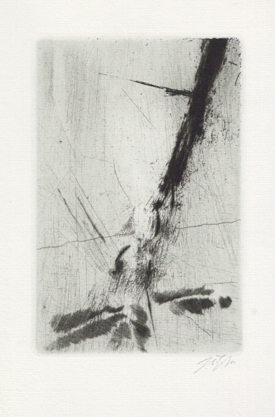 v 33401 2